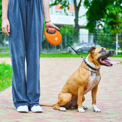 Повідець-рулетка WAUDOG R-leash з контейнером для пакетів, L, до 40 кг, 5 м, помаранчевий 8