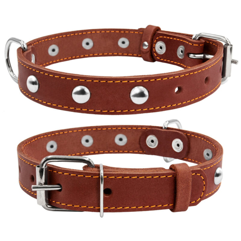 Нашийник CoLLaR одинарний шкіряний з прикрасами для собак 38-50см, ширина 25мм