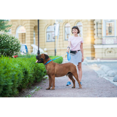 Повідець для собак WAUDOG Waterproof, водостійкий, розмір M, Ш 20 мм, Довжина 122 см, блакитний 8