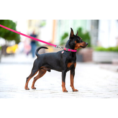 Нашийник для собак WAUDOG Waterproof, водостійкий, М, 20 мм, 28-40 см, рожевий 6