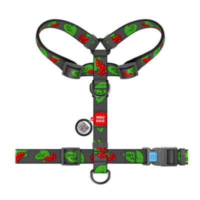 Шлея анатомічна H-подібна WAUDOG Nylon з QR-паспортом, L, Ш 25 мм, А 52-88, В 60-100 2