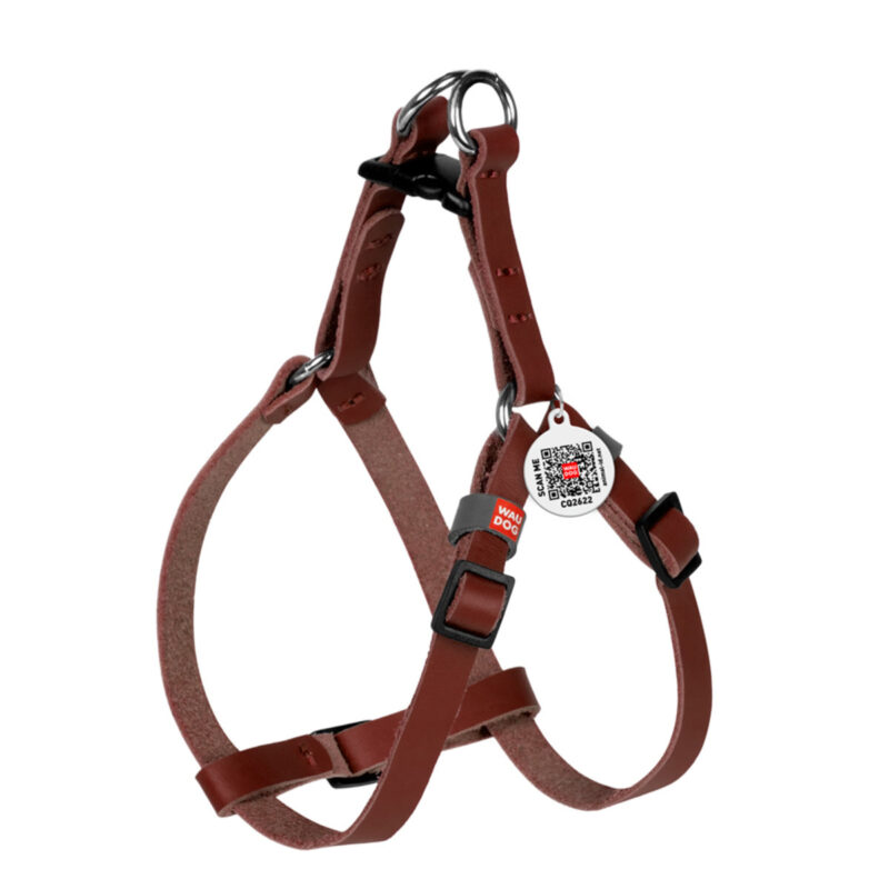 Шлея WAUDOG Classic шкіряна для котів та дрібних собак з QR паспортом, XS, 10 мм, обхват 28-40 см, коричнева