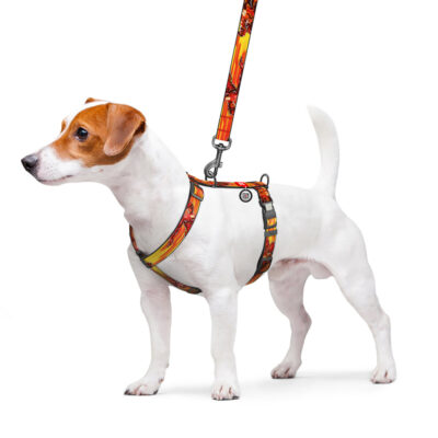 Шлея анатомічна WAUDOG Nylon "Швидкість Флеша", М, Ш 20 мм, А 38-60 см, В 45-60 см 4