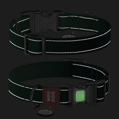 Нашийник для собак WAUDOG Nylon Mono, світловідбивний, M 28-40 см, ширина 20 мм, нейлон, зелений 5