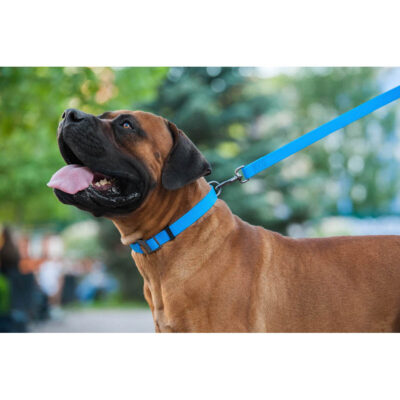 Повідець для собак WAUDOG Waterproof, водостійкий, Ш 15 мм, Дов 122 см, блакитний 7