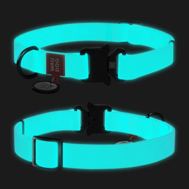 Нашийник для собак WAUDOG Waterproof, водостійкий, світловідбиваючий, 25 мм ширина, 38-58 см довжина