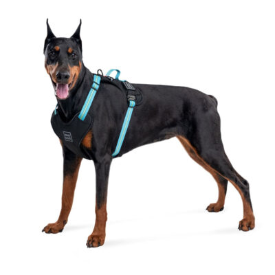 Шлея для собак WAUDOG Nylon з QR паспортом, металічна пряжка, L, Ш 25 мм, А 55-85 см, В 65-85 см блакитний 5