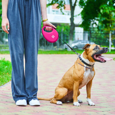 Повідець-рулетка WAUDOG R-leash, L, 5 м, до 40 кг, пластик, рожевий 8