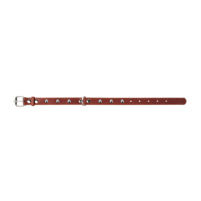 Нашийник CoLLaR одинарний шкіряний з прикрасами для собак 38-50см, ширина 25мм 3