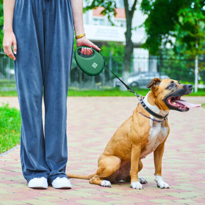Повідець-рулетка WAUDOG R-leash L, до 40 кг, 5 м, з контейнером для пакетів, світловідбиваюча стрічка, зелений 8
