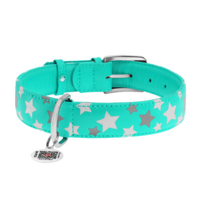 Нашийник WAUDOG Glamour шкіряний з QR паспортом, XL 46-60 см, Ш 35 мм, ментоловий 3