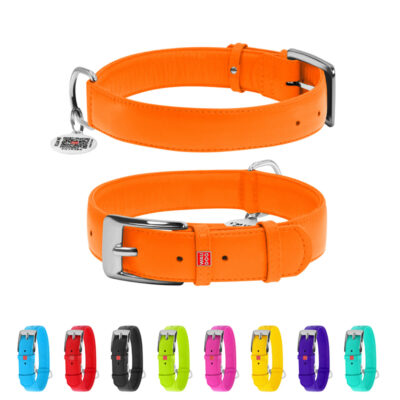 Нашийник для собак WAUDOG Glamour, шкіряний, помаранчевий, XL, 46-60 см, ширина 35 мм