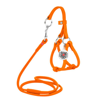Шлея з повідцем WAUDOG Glamour шкіряна, кругла для собак, Д 6 мм, А 26-46 см, В 30-50 см, помаранчева 2