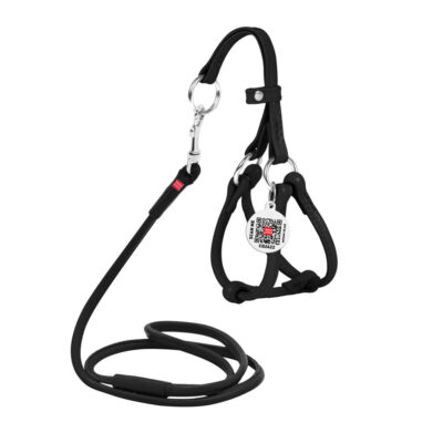 Шлея з повідцем WAUDOG Glamour шкіряна, кругла, чорна, Д 6 мм, А 26-46 см, В 30-50 см 2