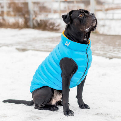 Двостороння курточка AiryVest для собак L65, жовто-блакитна, нейлон, 62-65 см 6