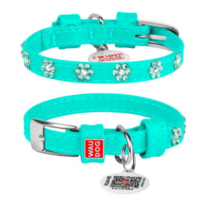 Нашийник для собак WAUDOG Glamour ментоловий з QR паспортом, стрази, шкіра, 19-25 см, 9 мм 2