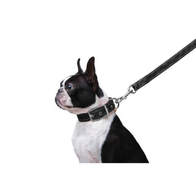 Повідець Dog Extreme подвійний з нейлону, 20мм ширина, 122см довжина, чорний 4