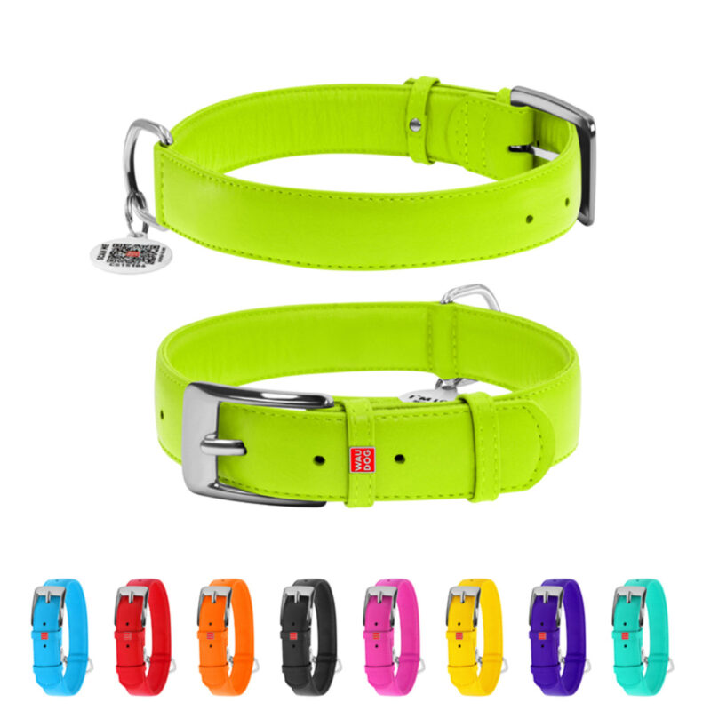 Нашийник для собак WAUDOG Glamour шкіряний XL, салатовий, ширина 35 мм, довжина 46-60 см