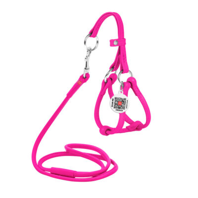Шлея з повідцем WAUDOG Glamour шкіряна, кругла, для собак, рожевий, Д 6 мм, А 26-46 см, В 30-50 см 2