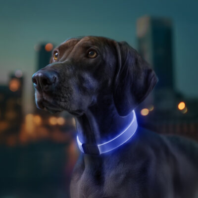 Нашийник для собак WAUDOG LED з підсвічуванням RGB, регульований 60 см, Ш 25 мм, USB Type-C 2