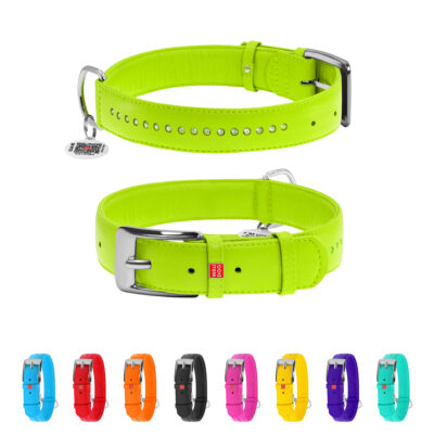 Нашийник для собак WAUDOG Glamour, шкіряний, зі стразами, для псів, L, 38-49 см, 25 мм