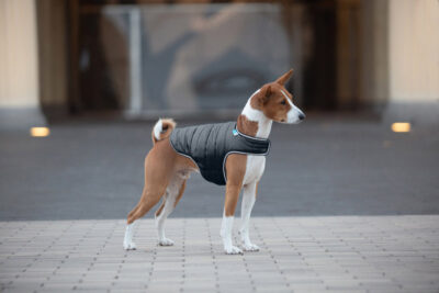 Куртка-накидка для собак AiryVest чорною, регулюється, XL, обхват 68-80 см, шиї 42-52 см 6