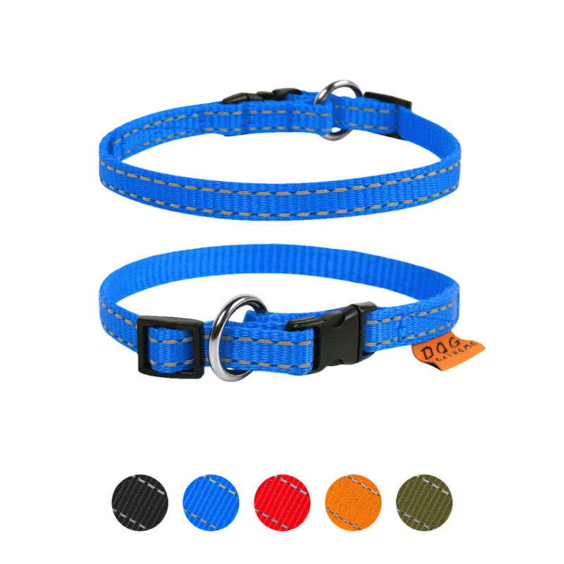 Нашийник Dog Extreme, нейлоновий регульований, для котів, 20-30 см, ширина 10 мм, блакитний