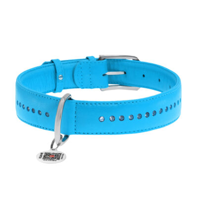 Нашийник шкіряний WAUDOG Glamour з QR паспортом XL, 35 мм, 46-60 см, блакитний 3