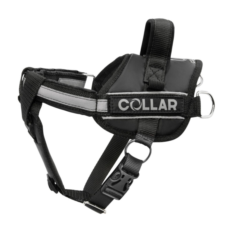 Шлея DOG Extreme "POLICE" для собак м'яка, чорна, нейлон, обхват 35-45 см