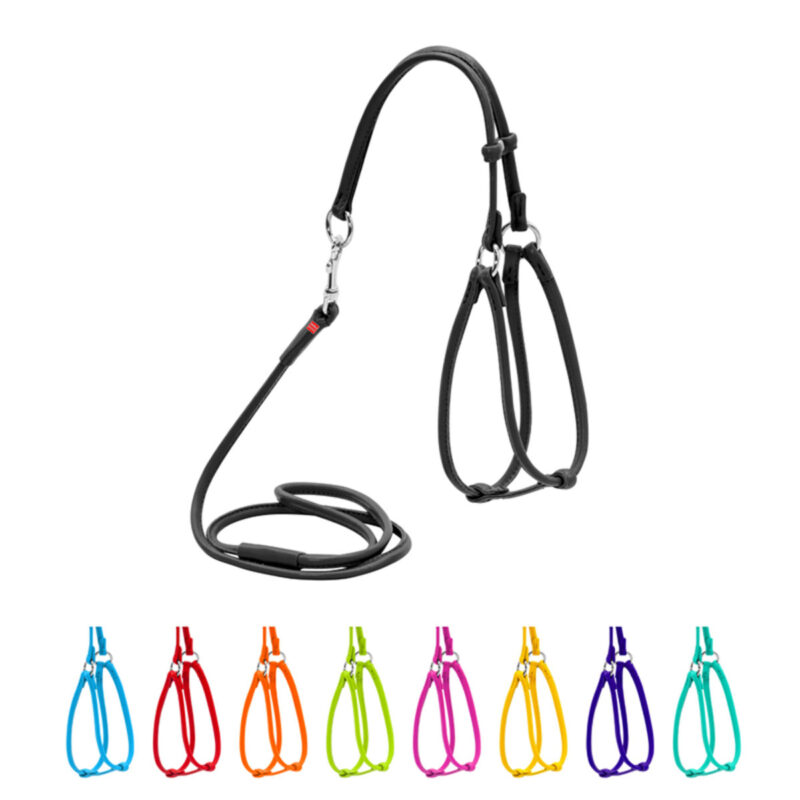 Шлея з повідцем WAUDOG Glamour шкіряна, кругла, для собак, Д 6 мм, А 42-60 см, В 46-64 см, чорний