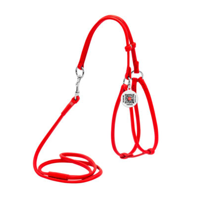 Шлея з повідцем WAUDOG Glamour, кругла, шкіряна для собак, обхват шиї 42-60 см, червоний 2