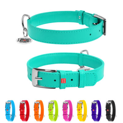 Нашийник шкіряний WAUDOG Glamour, M, Ш 20 мм, Дов 30-39 см, ментоловий