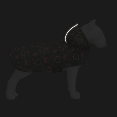 Дощовик-накидка WAUDOG Clothes "Гранати", для собак, А 23-26 см, B 30-36 см, C 15-20 см, поліестер 5