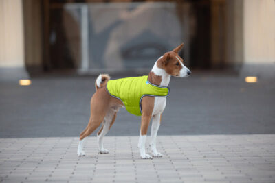 Куртка-накидка для собак AiryVest XL, регуляція 42-52 см, обхват 68-80 см, поліестер 6