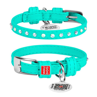 Нашийник шкіряний WAUDOG Glamour ментоловий з QR паспортом 9 мм, 18-21 см 2