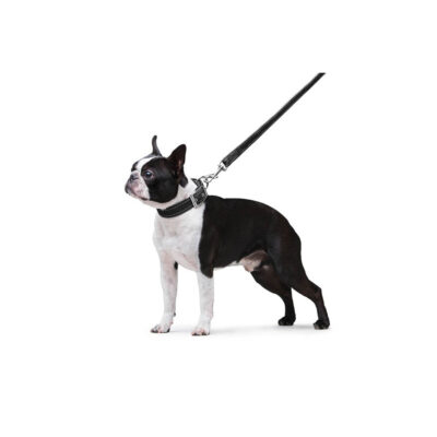 Повідець Dog Extreme подвійний з нейлону, 20мм ширина, 122см довжина, чорний 6