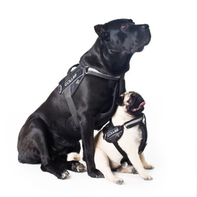 Шлея "Dog Extreme" "POLICE" №2 (В:40-60см), нейлон, чорний 4