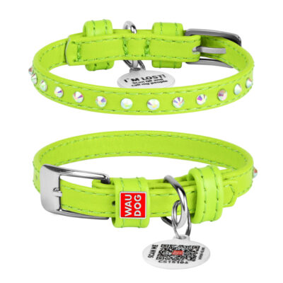 Нашийник для собак WAUDOG Glamour шкіряний з QR паспортом, ширина 9 мм, довжина 18-21 см, салатовий 2
