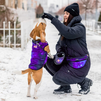 Курточка для собак WAUDOG Clothes NASA21, M45, Обхват грудей 62-64 см, Обхват шиї 35-38 см, Нейлон 4