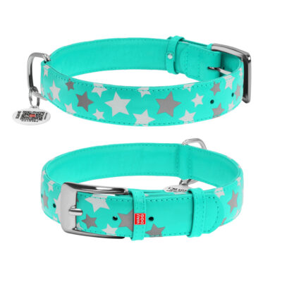 Нашийник WAUDOG Glamour шкіряний з QR паспортом, XL 46-60 см, Ш 35 мм, ментоловий 2