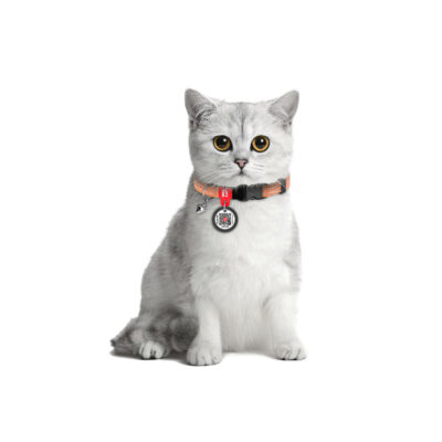 Нашийник для котів WAUCAT Re-cotton світловідбиваючий, XS, 10 мм, 20-30 см, відновлена бавовна 4
