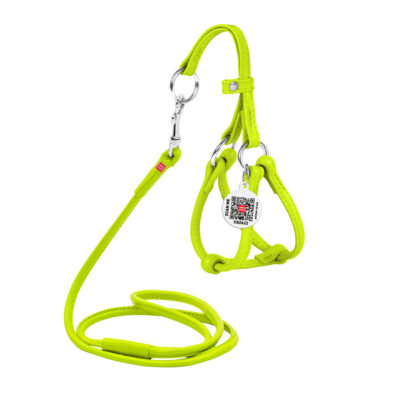 Шлея з повідцем WAUDOG Glamour шкіряна кругла, D 6 мм, А 26-46 см, В 30-50 см, салатовий 2