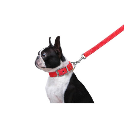 Повідець Dog Extreme нейлоновий подвійний з світловідбивними елементами для собак, 20мм × 122см, червоний 4