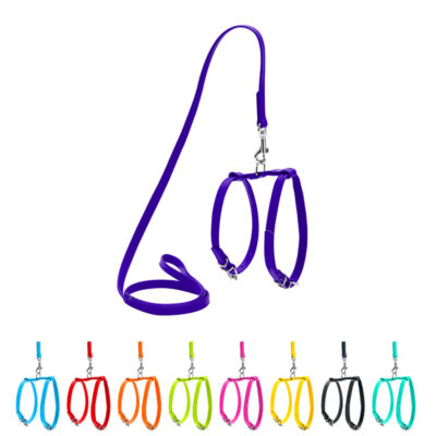 Шлея з повідцем WAUDOG Glamour, шкіряна, фіолетова, обхват шиї 20-30 см, грудей 30-40 см