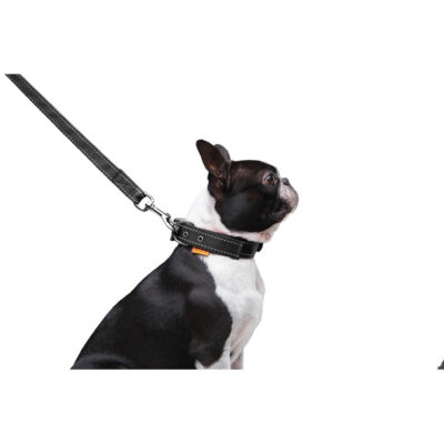 Повідець Dog Extreme подвійний з нейлону, 20мм ширина, 122см довжина, чорний 7