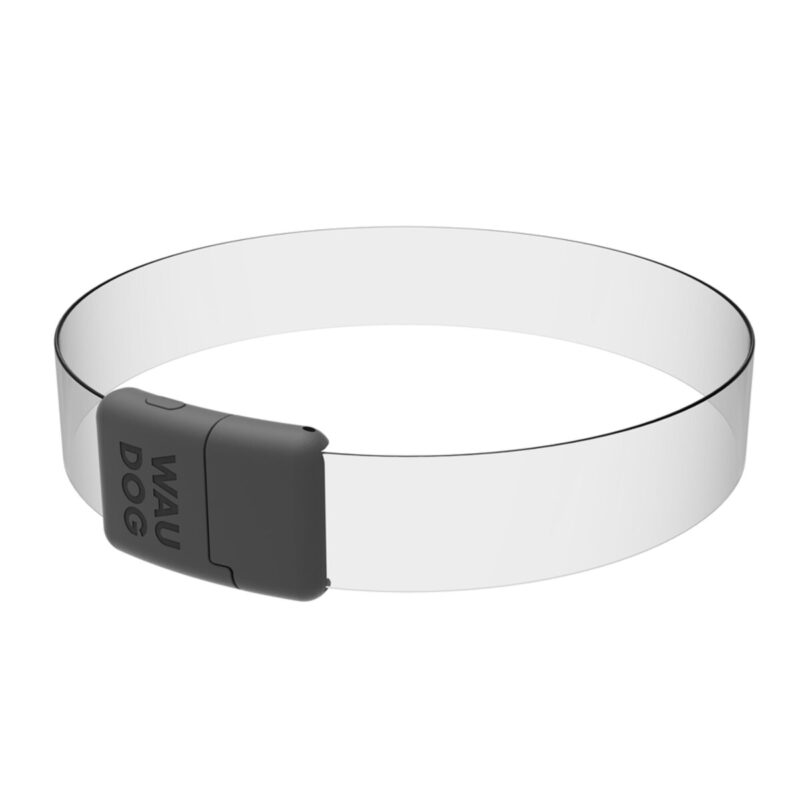 Нашийник для собак WAUDOG LED з підсвічуванням RGB, регульований 60 см, Ш 25 мм, USB Type-C