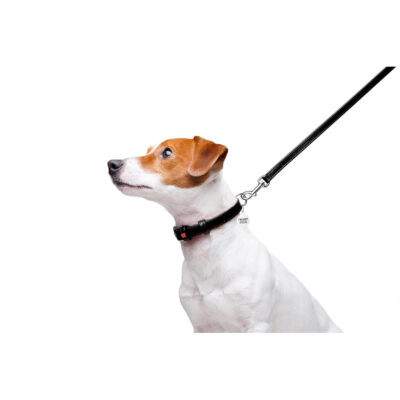 Повідець для собак WAUDOG Glamour, шкіряний, чорний, Ш 12 мм, Дов 122 см 5