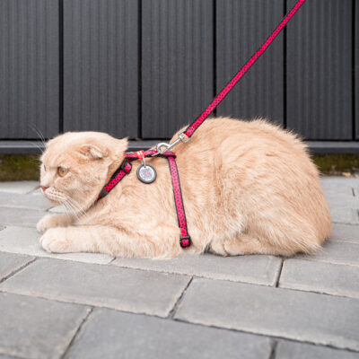 Шлея з повідцем WAUCAT Nylon, "Кавун", для котів та собак, нейлон, Ш 10 мм, В 25-40 см, С 20-30 см 2