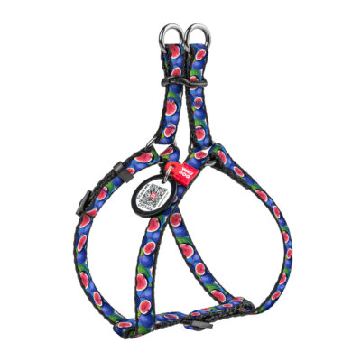 Шлея WAUDOG Nylon "Інжир" для котів та дрібних собак, XS, нейлон, 10 мм, A=B 30-40 см