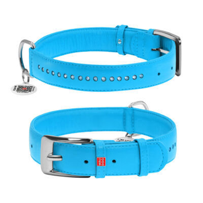 Нашийник шкіряний WAUDOG Glamour з QR паспортом XL, 35 мм, 46-60 см, блакитний 2